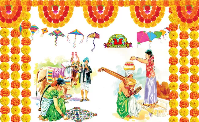 Sankranti 2022: Sakshi Special Story On Makara Sankranti celebrations