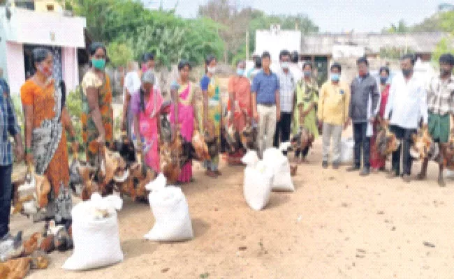 Poultry Rearing Under SERP‌, Chickens Distribution to Women in self Help Groups - Sakshi
