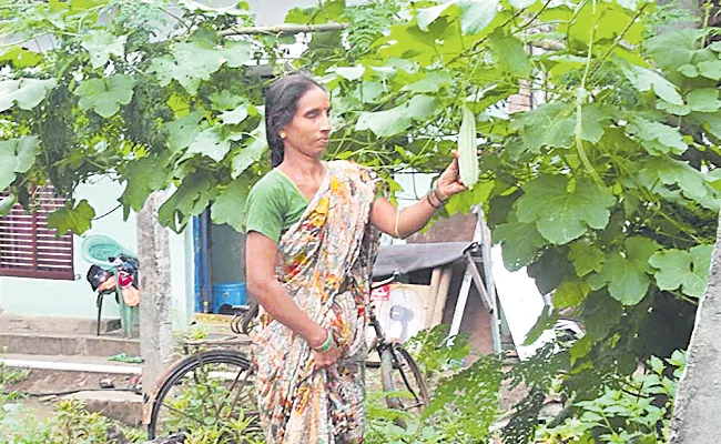 Inti Panta: East Godavari Venkatapuram Women Inspiring Story - Sakshi