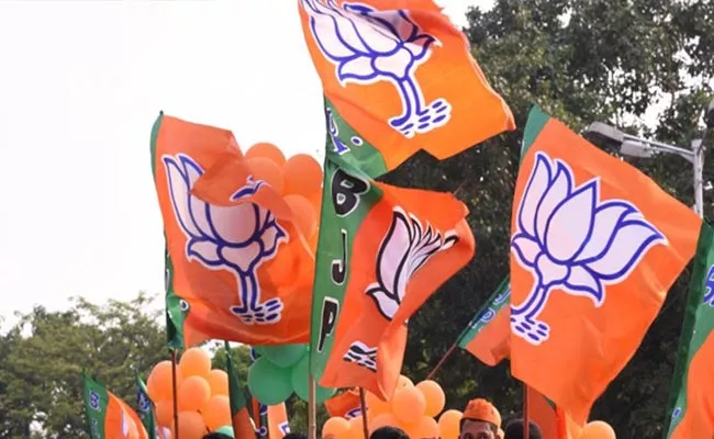 BJP Swept The Guwahati Municipal Corporation Elections - Sakshi