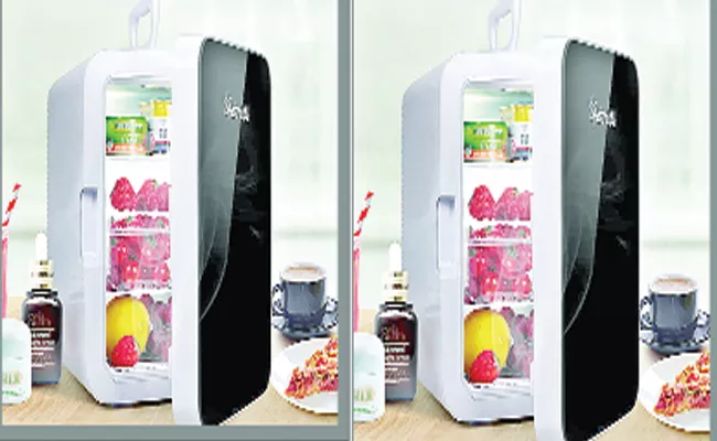 Hot And Cool Traveling Refrigerator How It Works Price Details - Sakshi