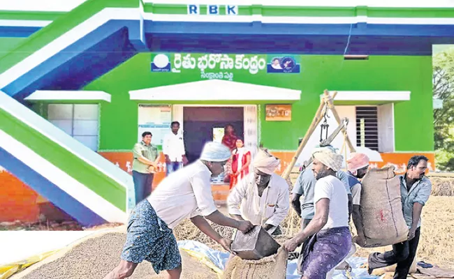 Andhra Pradesh: Tdp False Allegations On Govt Procurement Paddy From Farmers - Sakshi