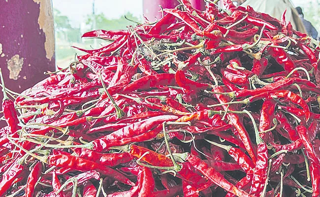Red Chilli Price Surges: Traders Rush to Buy Red Chilli in Cold Storages - Sakshi