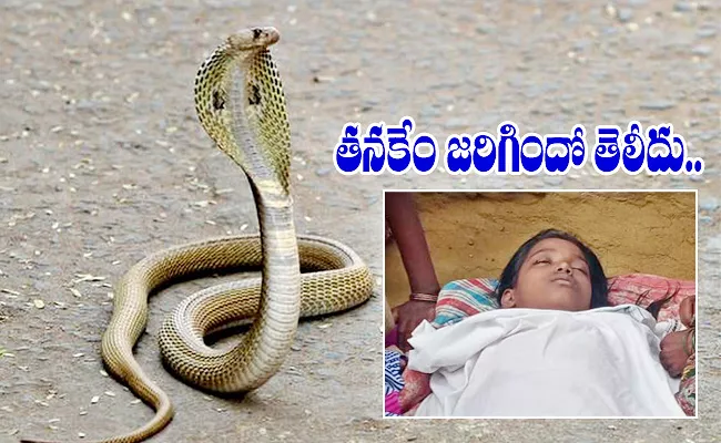 Child Dies Of Snake Bite In kurnool - Sakshi