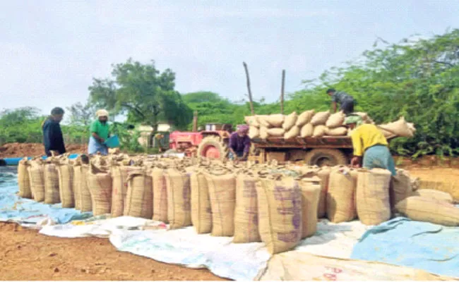 Andhra Pradesh Govt Announced Crop Prices Before Kharif - Sakshi