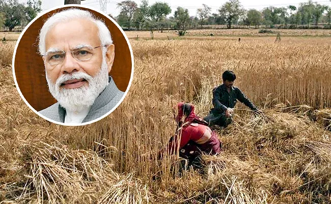 The Government Hiked The Minimum Support Price For Six Crops - Sakshi