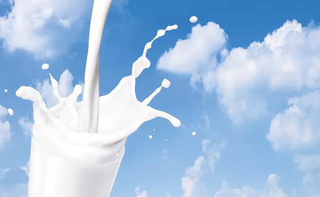 Amul Milk procurement prices hiked once again Andhra Pradesh - Sakshi