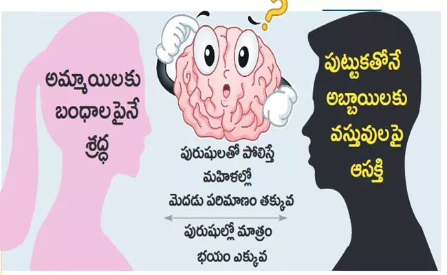 Special Study Says Gender Differences In Brain Responses - Sakshi