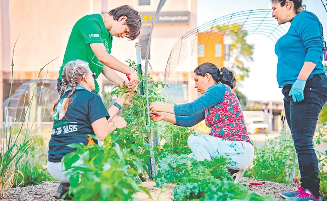 Community Gardens and Urban farms Spread through Omaha City - Sakshi
