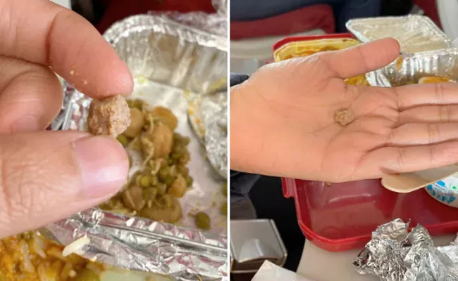 Woman Finds Stone In Meal Served Air India Flight photo Gone Viral - Sakshi