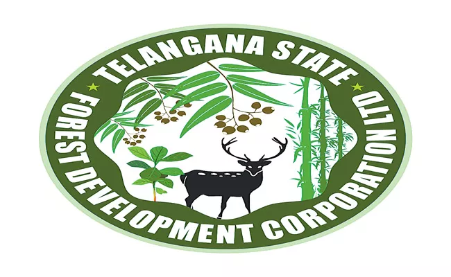 Telangana Forest And Development Corporation Received International Recognition - Sakshi
