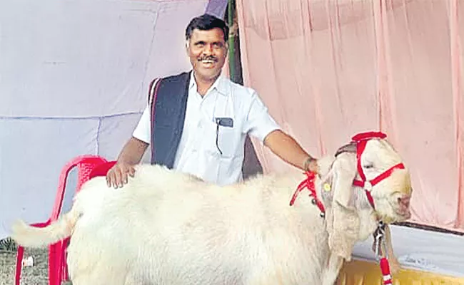 Telangana: Goat Cost 6 Lakh Won Award In Up - Sakshi