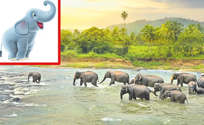 Why Telangana did not having Elephants - Sakshi