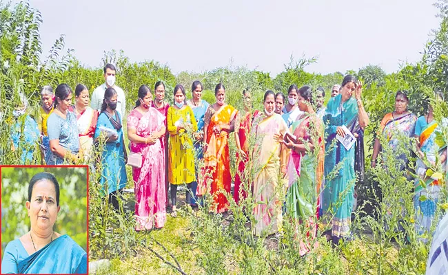 Women Farmers Natural Farming and Millet Restaurant in Anantapur - Sakshi