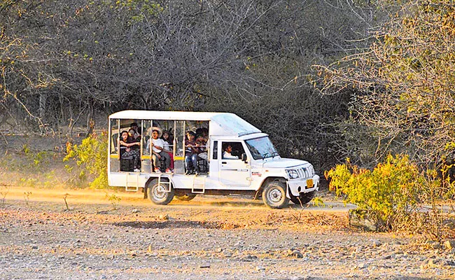 Telangana Tourist Attractions Pocharam Wildlife Sanctuary - Sakshi