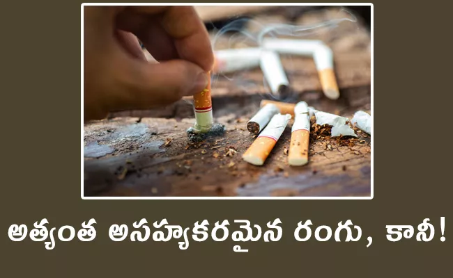 World No Tobacco Day 2023: Health Risks of Smoking Tobacco - Sakshi