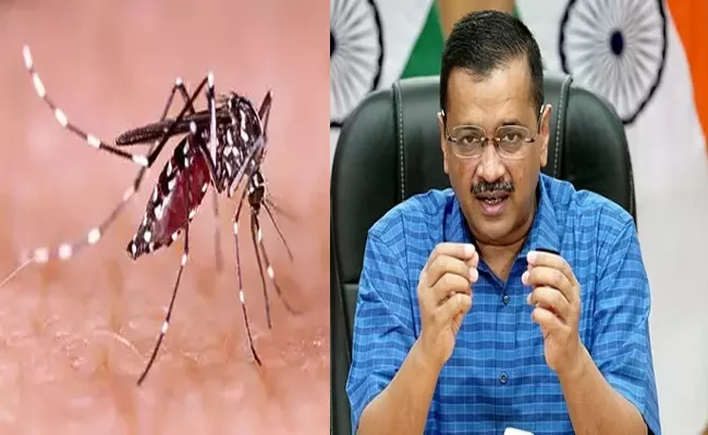 Dengue Outbreak In Delhi: Fine For Mosquito Breeding Increased - Sakshi