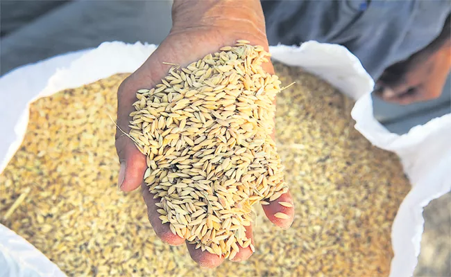 Production cost of grain in Andhra Pradesh is low - Sakshi