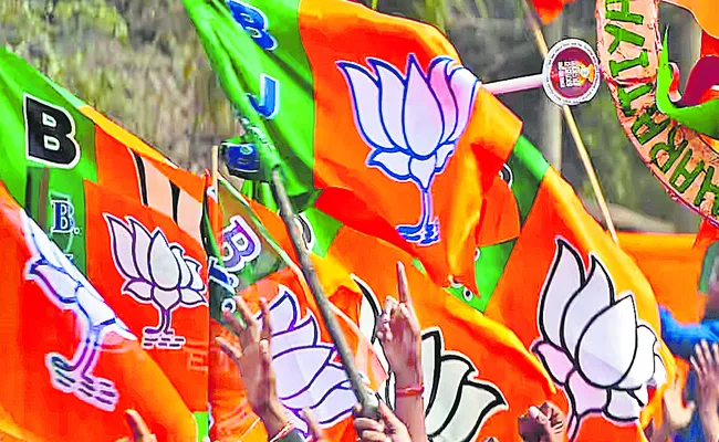BJP: Elections Are Approaching The Activities Are Speeding Up - Sakshi