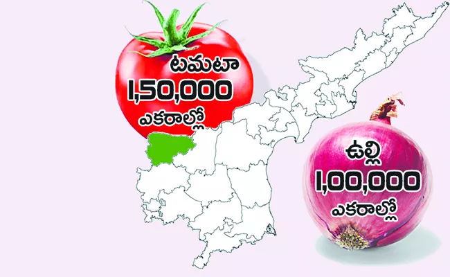 tomato yields worldwide India second place - Sakshi