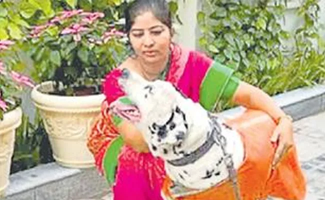 House Tragedy In Telangana Minister Patnam Mahender Reddy  - Sakshi
