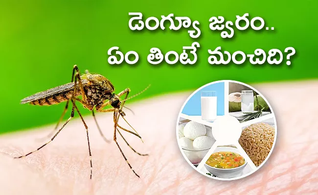 What Is Dengue Which Foods To Eat When Recovering From Dengue - Sakshi