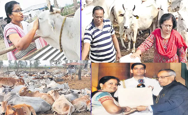 Cow Guardian Doctor Chennamaneni Padma Successful Special Story - Sakshi