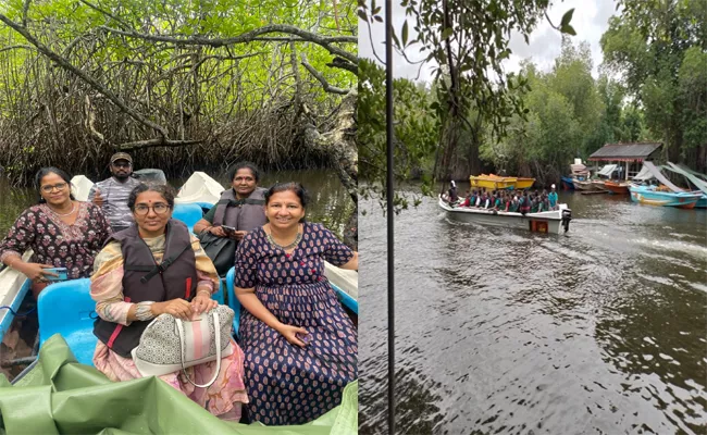 Madu Ganga Boat Safari Balapitiya River Safari - Sakshi