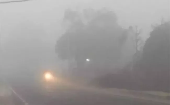 Delhi City NCR Delhi Weather Update Severe Cold Begins - Sakshi