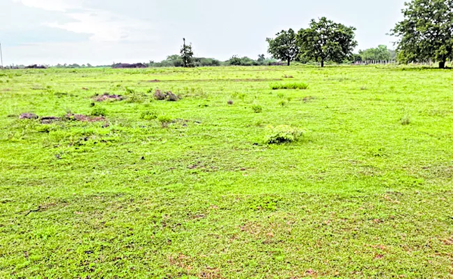 government has given more clarity land ownership rights - Sakshi