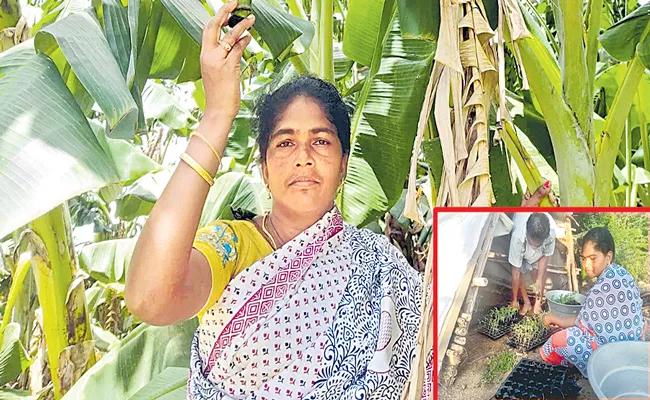 TamilNadu Woman Doubles Income Through Organic Farming - Sakshi
