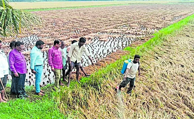 RBK army in service of farmers - Sakshi