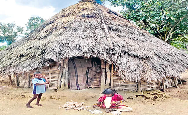 Lifestyle of Chenchus living in Nallamala forest region - Sakshi