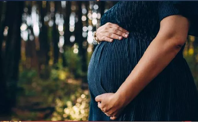 Delhi HC Allows Woman To End Pregnancy Over Trauma After Husband Death - Sakshi