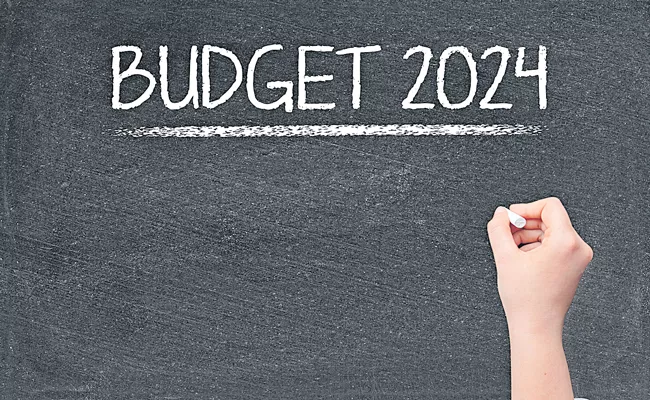 Budget 2024: Women entrepreneurs expect from FM Nirmala Sitharaman budget - Sakshi