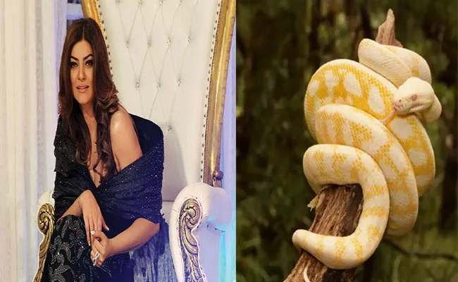 Actress Sushmita Sen Owns A Pet Python At Her House, News Goes Viral - Sakshi