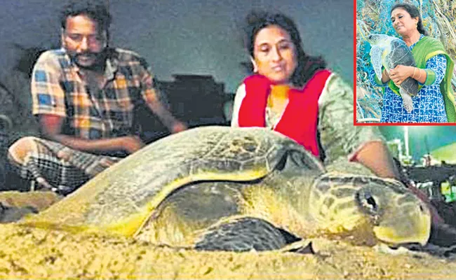 Dr Supraja Dharini who has dedicated her entire life to sea turtle conservation - Sakshi