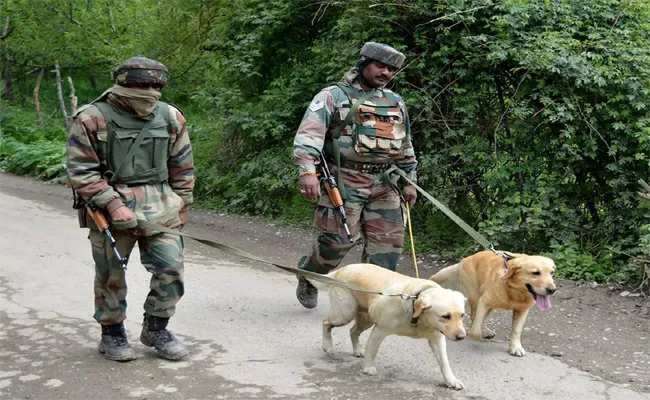 Indian Army Dog how much Salary Doing Military Duty - Sakshi