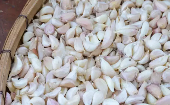 Madhya Pradesh Ratlams Riyawan Garlic Gets GI Tag - Sakshi
