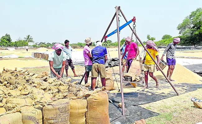 Grain purchases in five districts - Sakshi
