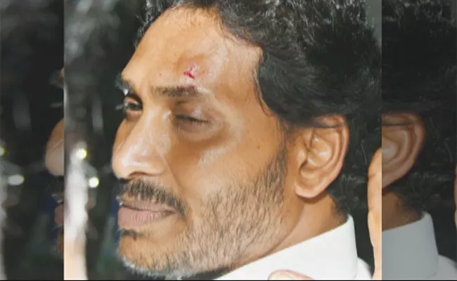 Attack On CM YS Jagan With Stone - Sakshi