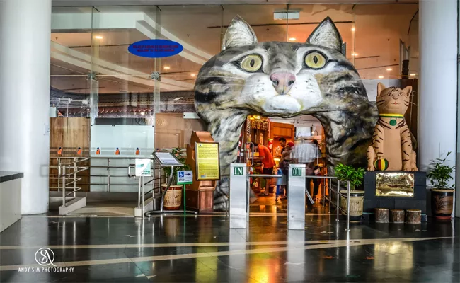 Cat Museum In Kuching Sarawak Malaysia - Sakshi