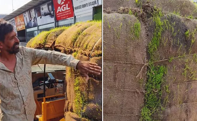 Auto Driver Arranged Grass On Auto To Get Relief From Summer Heat 
