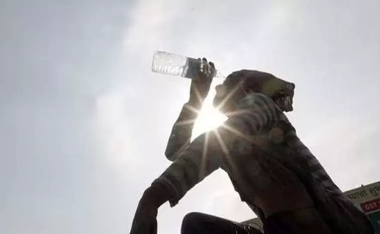 Fifth Of Global Heatwave Deaths Annually Linked To India