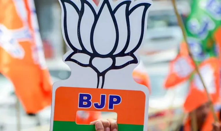Lok Sabha Elections 2024: Delhi BJP's Big Experiments Will Succeed?
