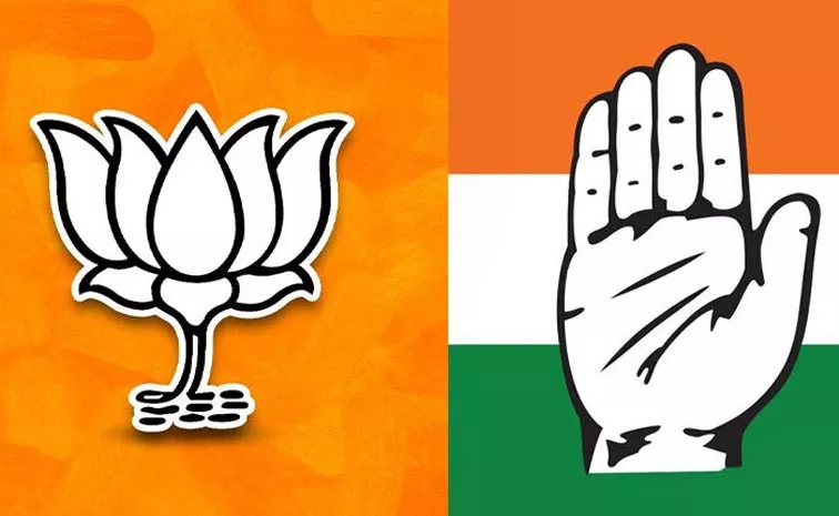 Political Fight Between Congress And BJP At North East Delhi Seat