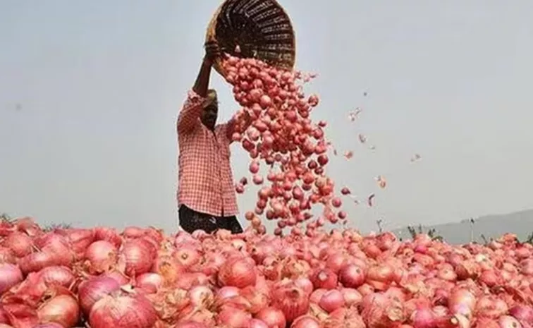 Govt lifts restrictions on onion exports