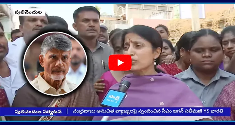 YS Bharathi Reaction On Chandrababu Naidu Controversial Comments 