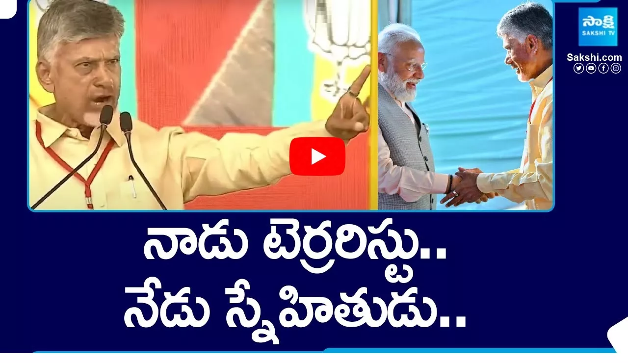 Chandrababu Comments on PM Modi at Arnab Goswami Interview