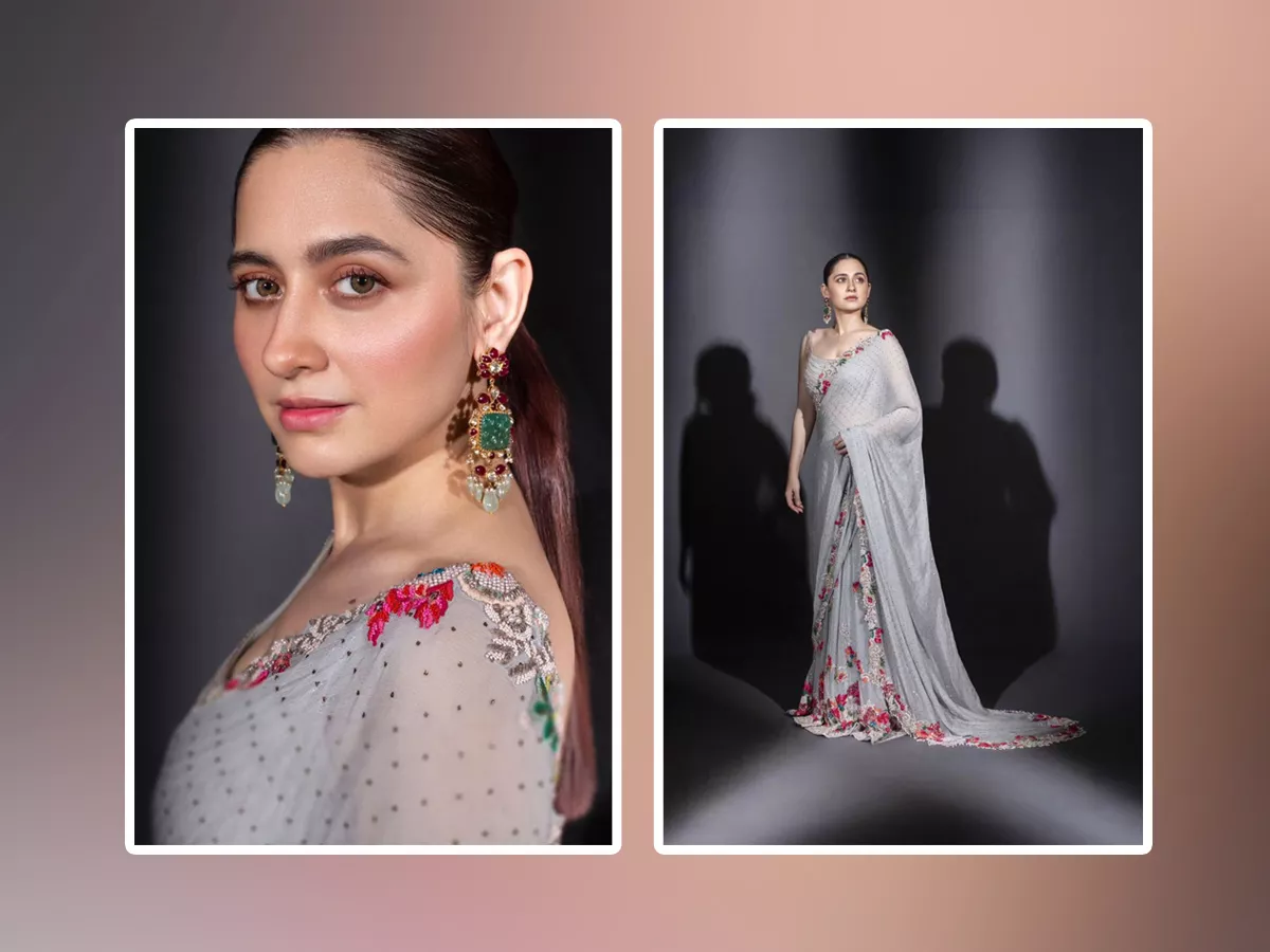 Sanjeeda Shaikh Looks Stunning In This Embroidery Saree